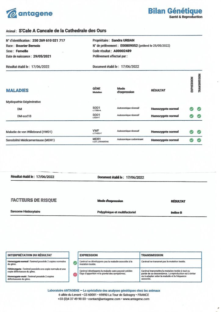 De Loargann - Tests ANTAGENE S'CALE