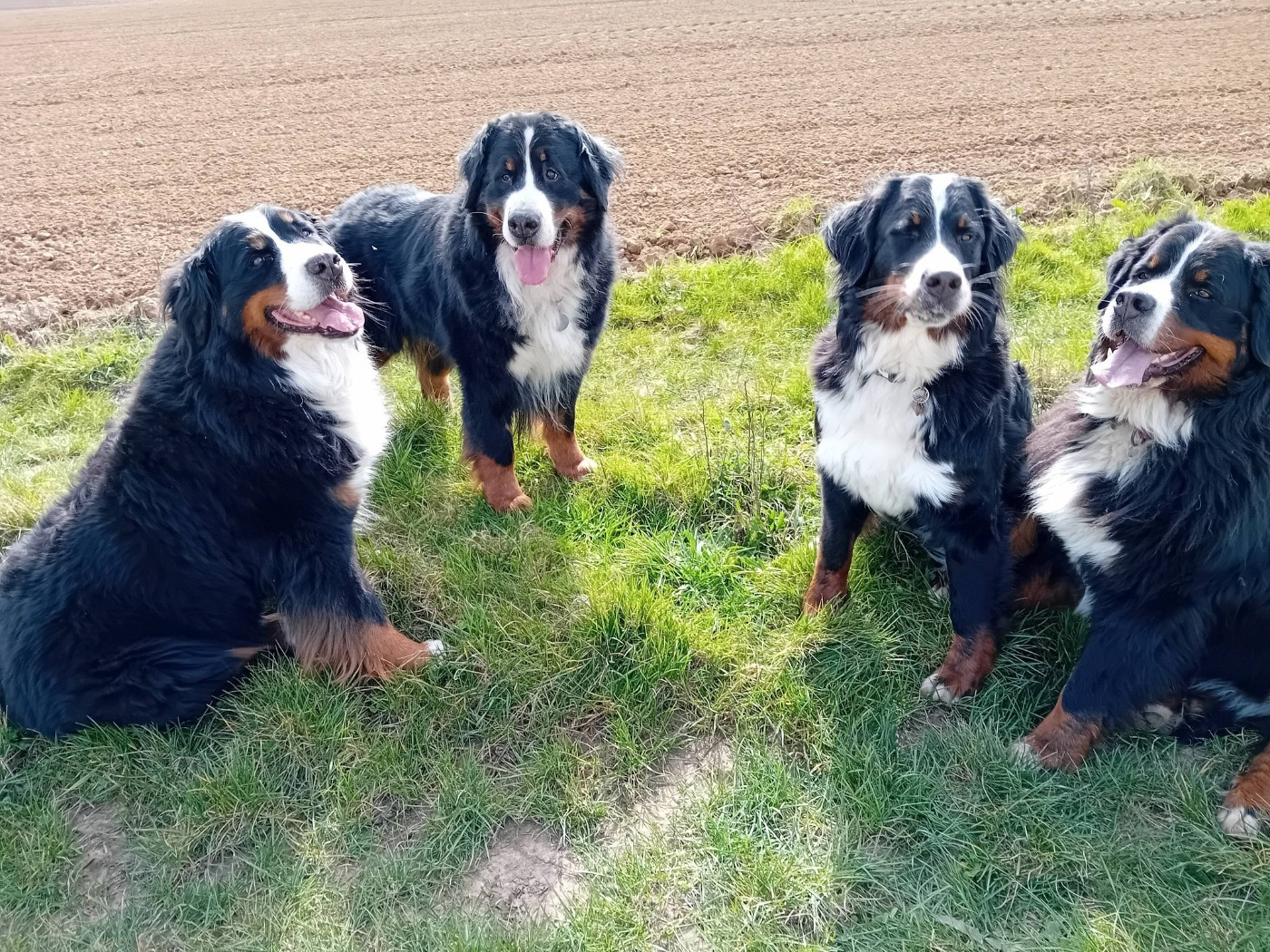 De Loargann - STAND BY POUR L'INSTANT