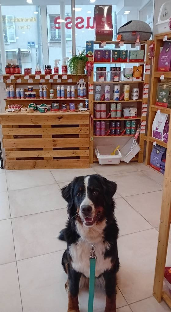 BOUBOU A LA BOUTIQUE HUSSE