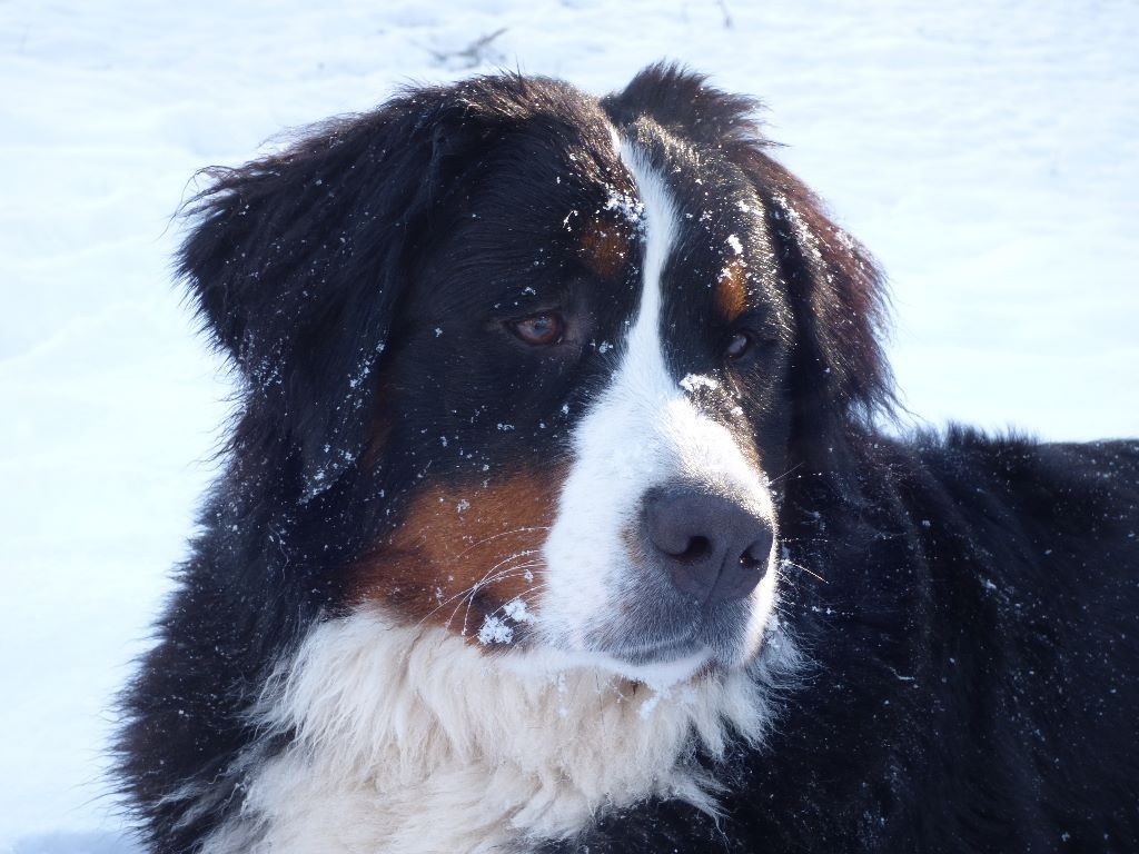 Hommage MIMI 17.12.2016 - 26.06.2026